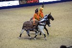Quadrille - 00095